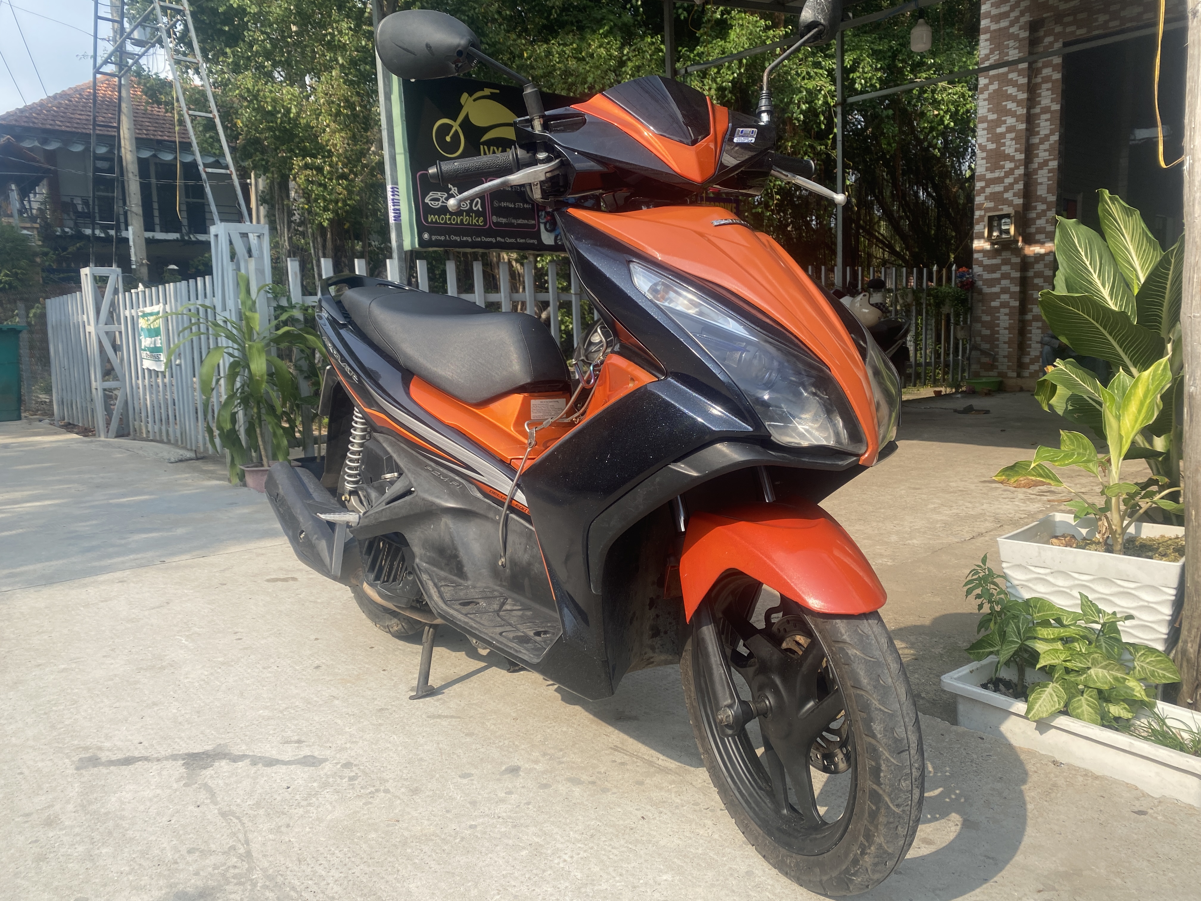 Ivy Motorbike
