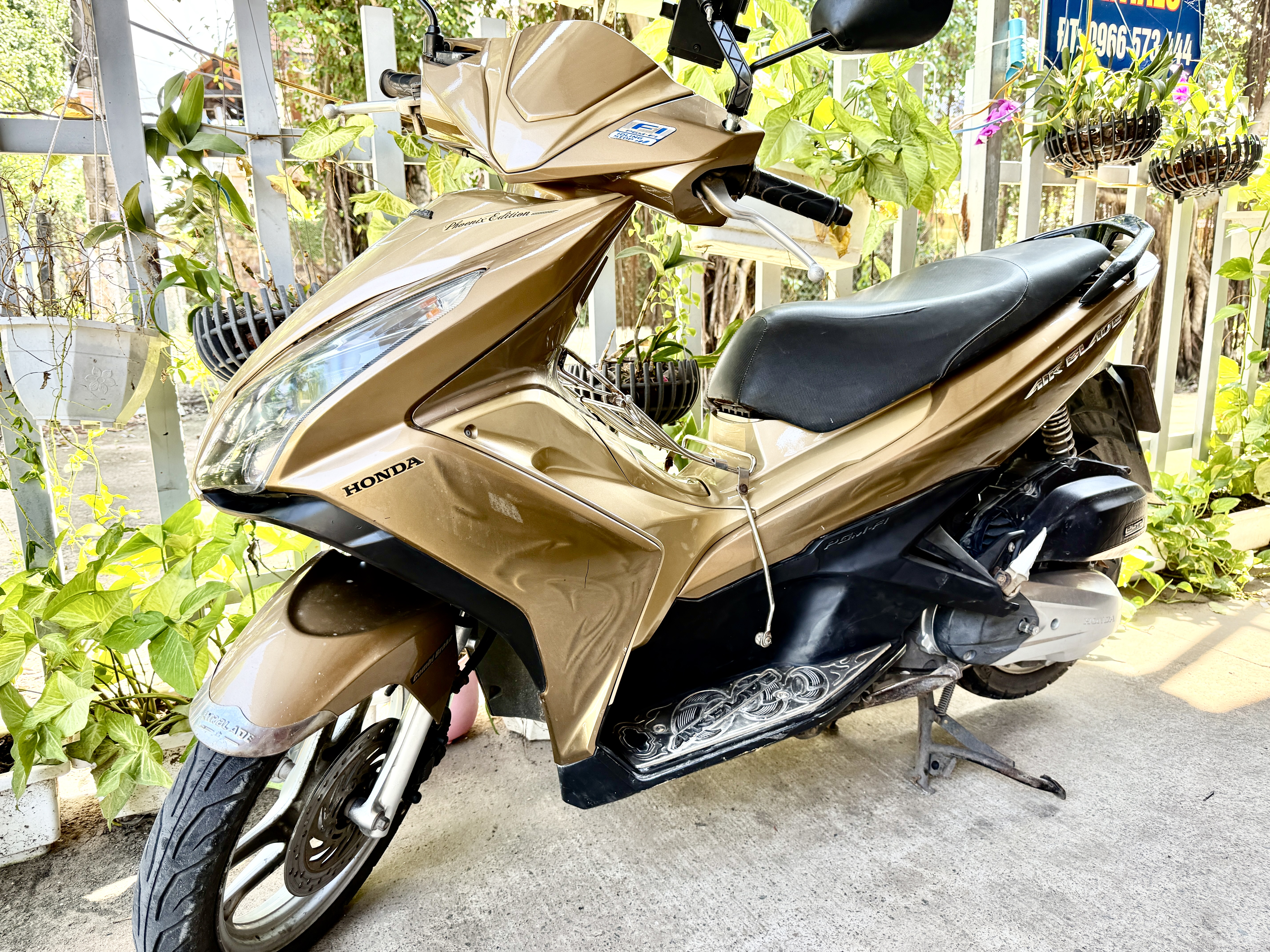 Ivy Motorbike