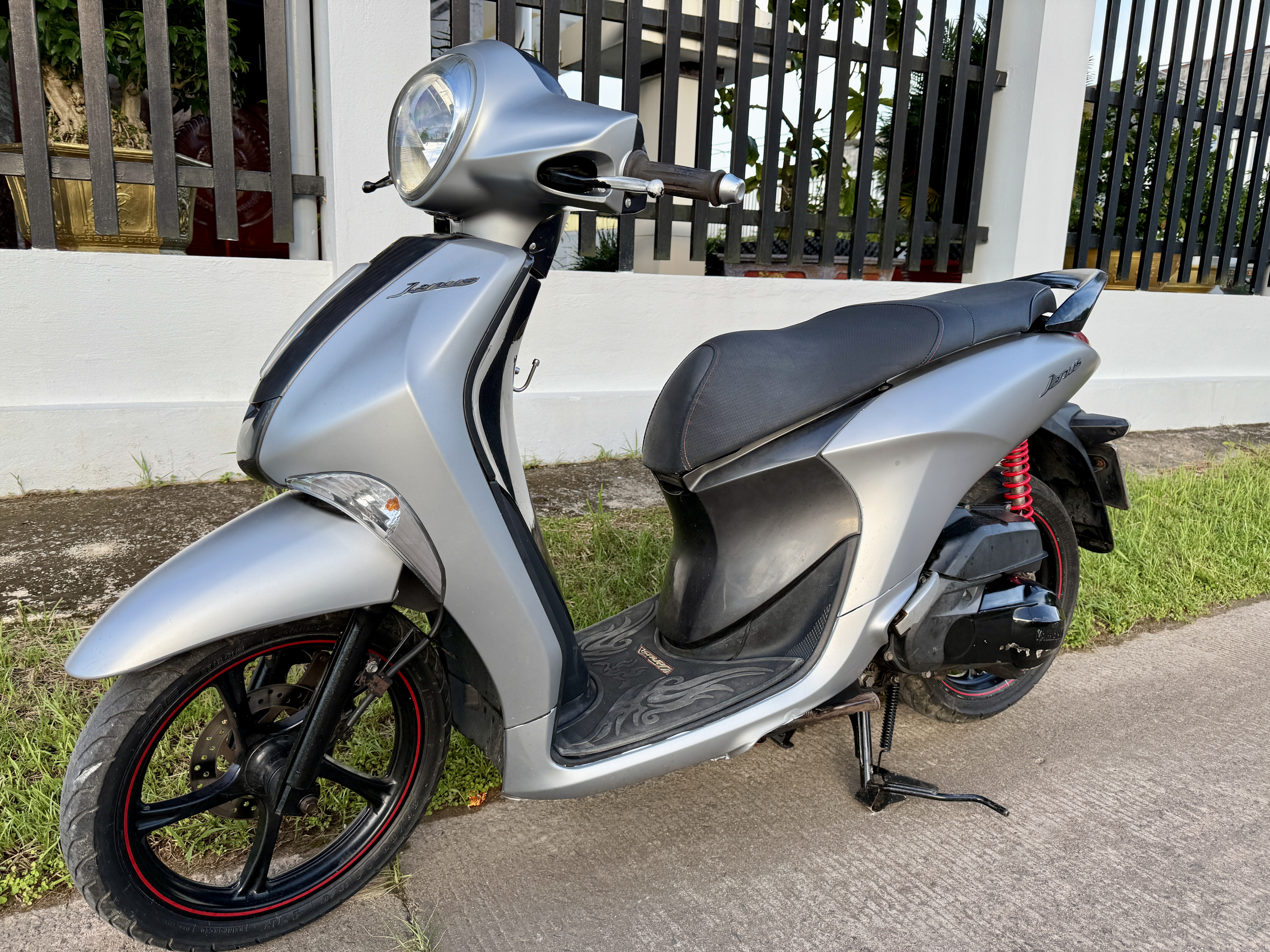Ivy Motorbike
