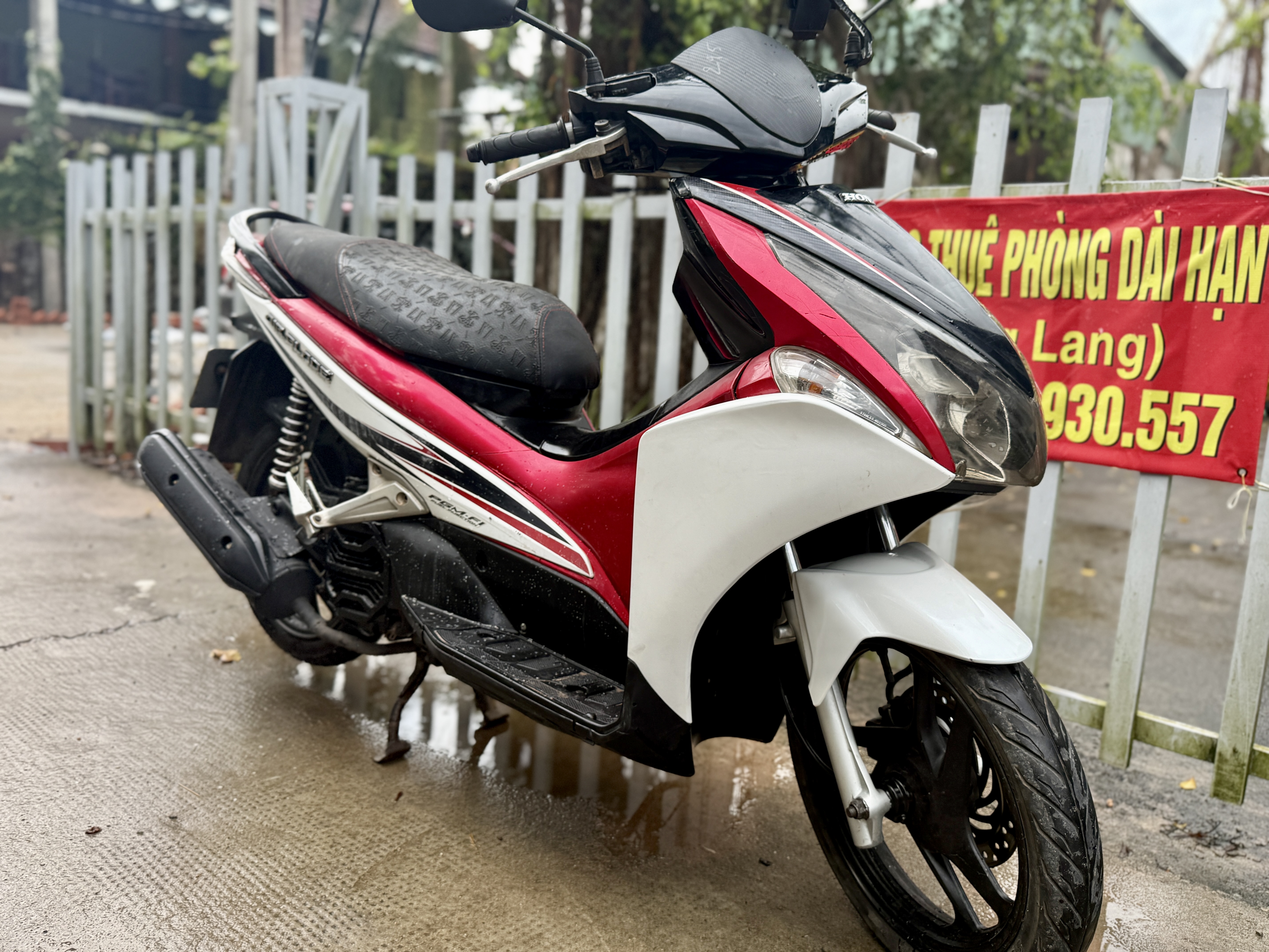Ivy Motorbike