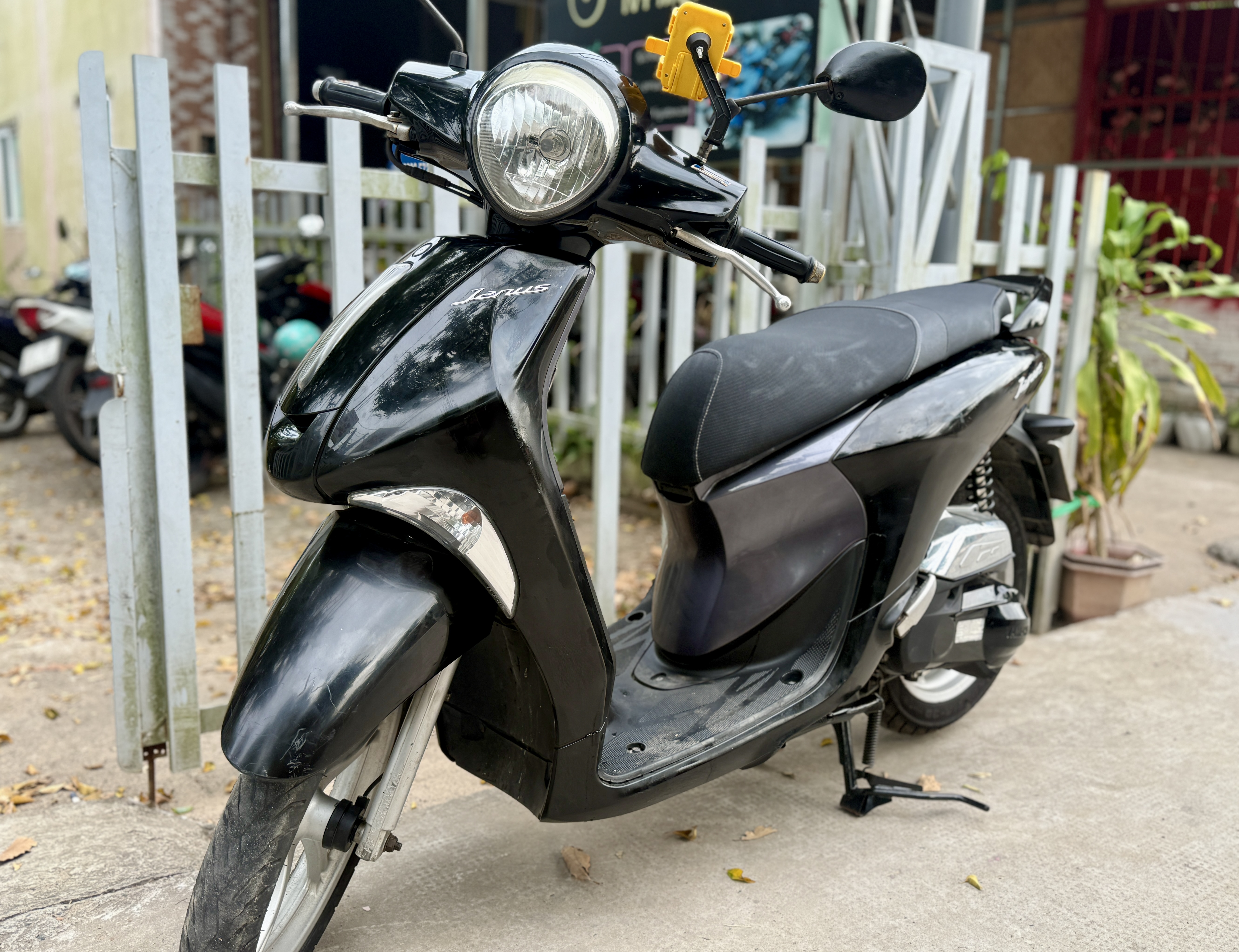 Ivy Motorbike